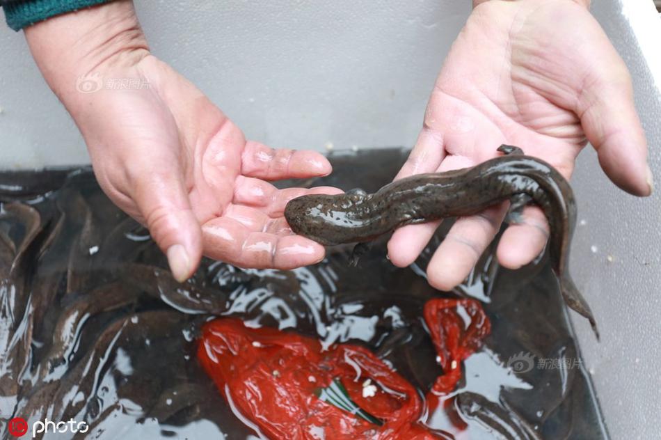 不知其可by筆趣閣百度網盤