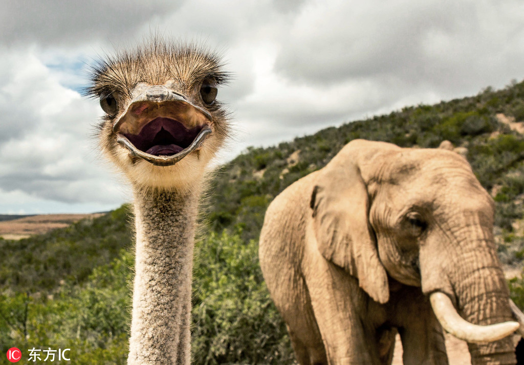 玉器公主筆趣閣免費(fèi)閱讀小說