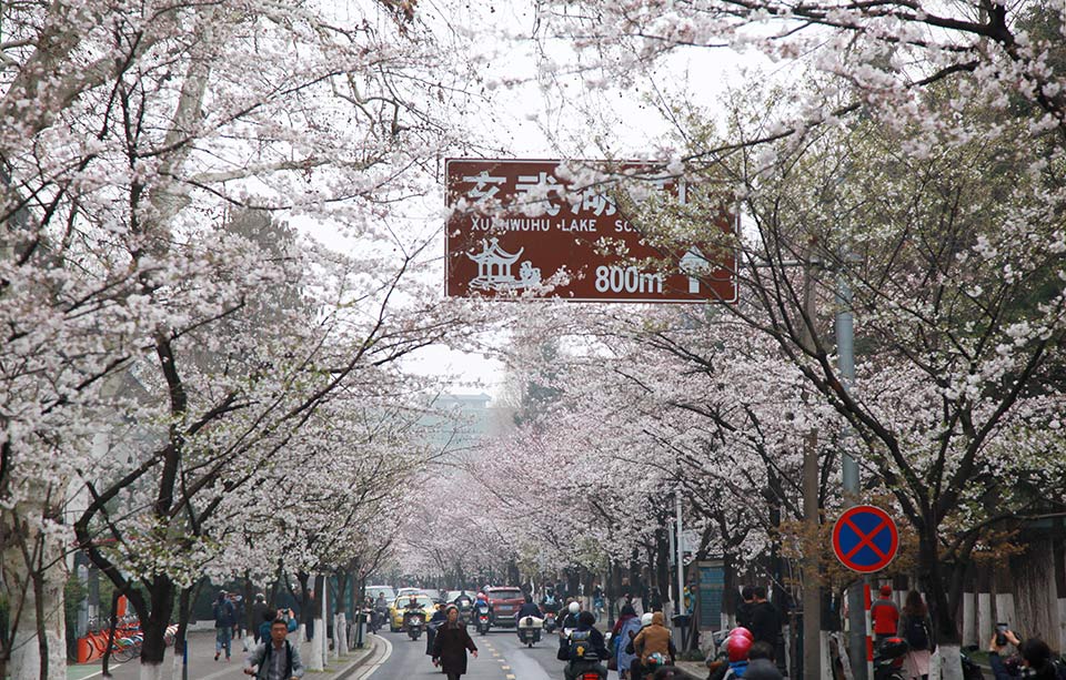 潮涌by空夢百度網盤下載