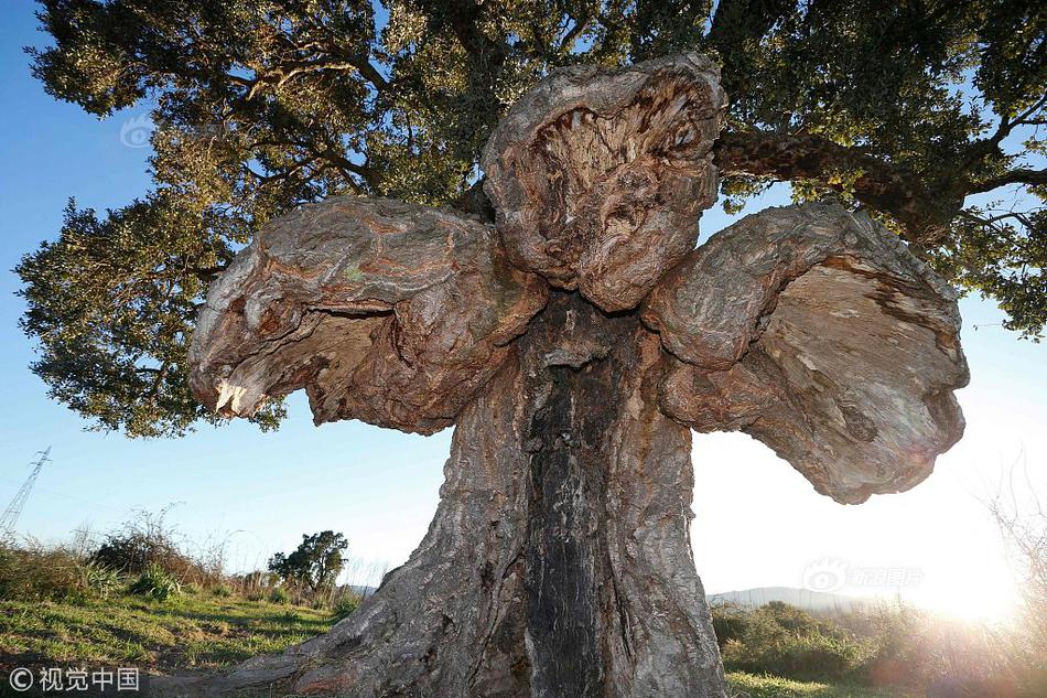 穿越游戲里被各種怪物筆趣閣