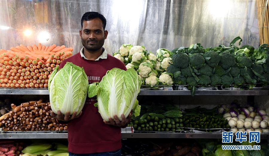 《咬痕》by歲晚在線閱讀