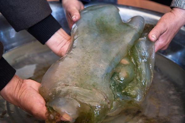 春日纏枝by今又