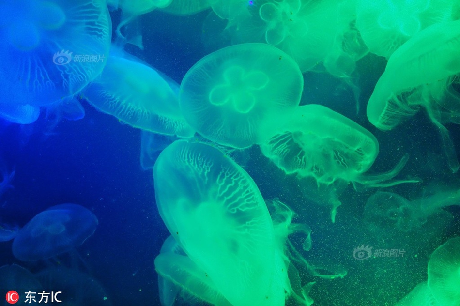 《袖手旁觀》by清明谷雨筆趣閣