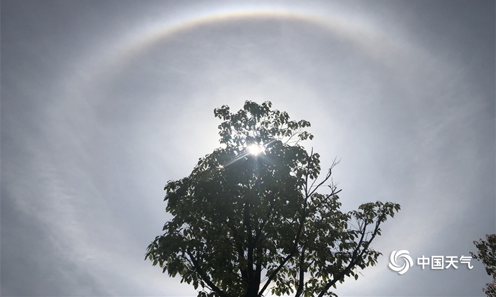 分手合約by山月辭歡全文免費閱讀
