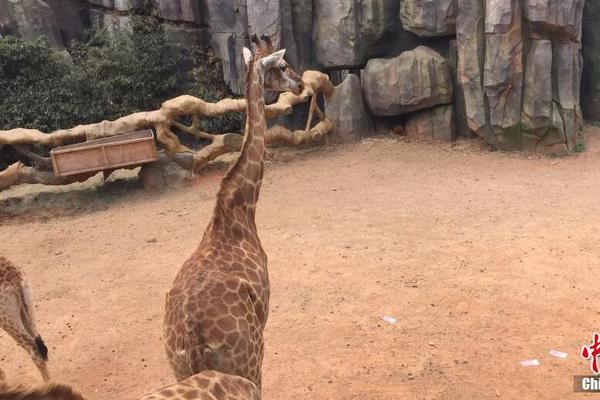 重生之暴君生子by時不待我番外