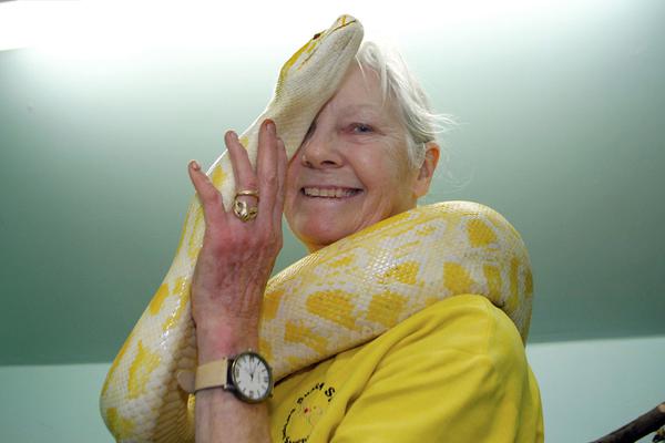 《雨魄云魂》by閑相歡夸克網(wǎng)盤