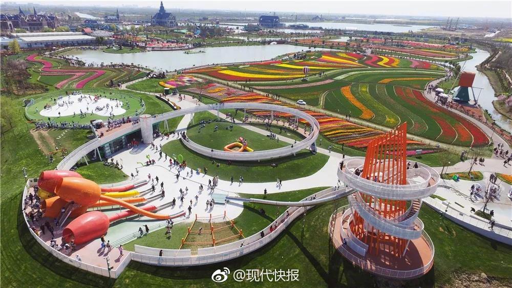 馮唐不二txt百度云