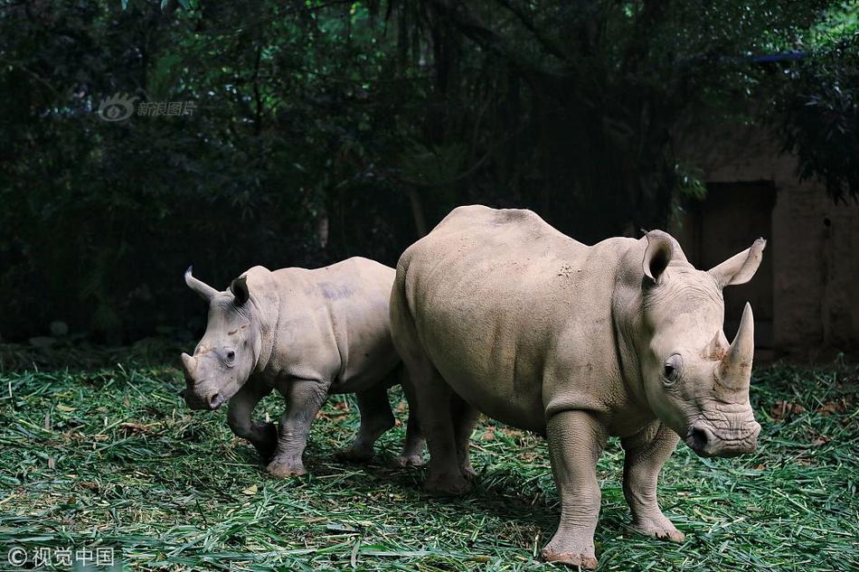 hp來自東方的轉校生