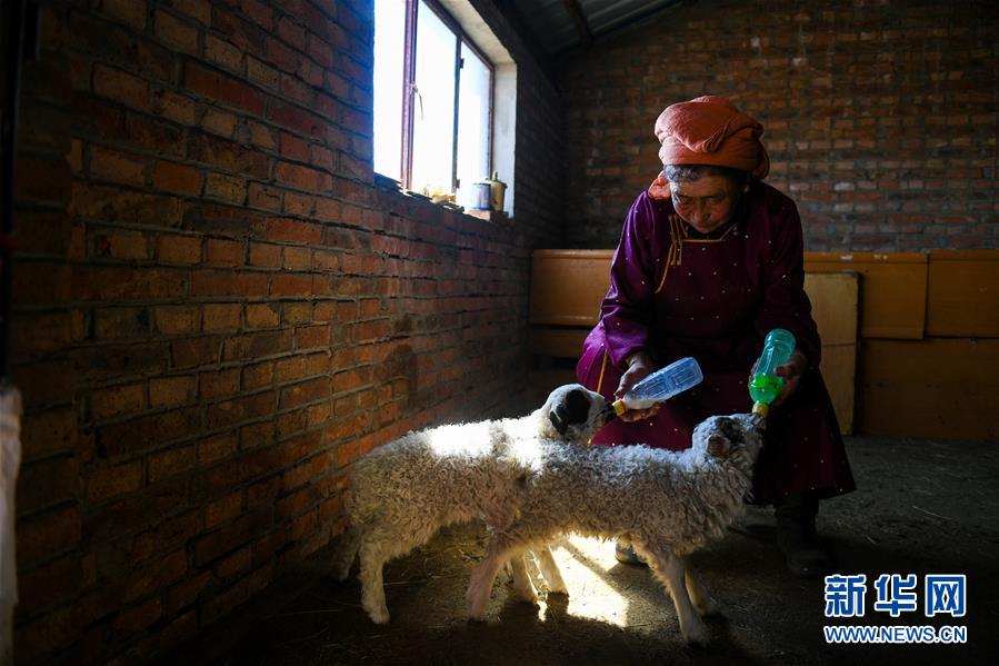 大秦之召喚群雄TXT下載