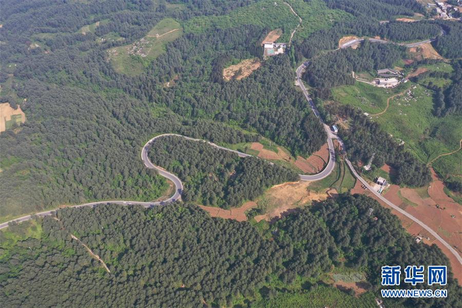 總裁致富路by木三觀劇透