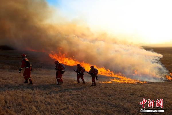 《極品家丁》TXT小說下載