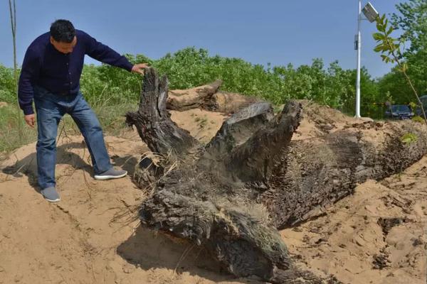 《許君一生》by謙少