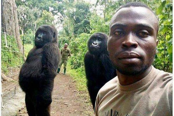 yl小鎮墨寒硯筆趣閣最新章節更新