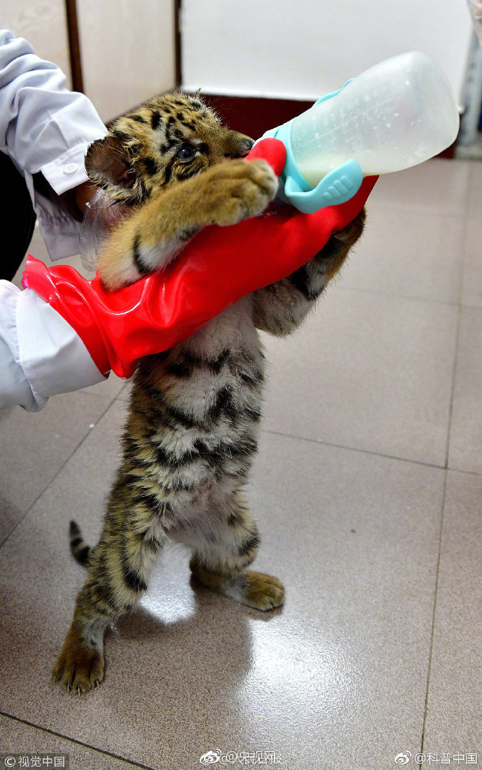 影帝拍戲時假戲真by小說大結局