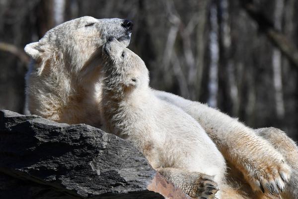寶寶只想和你睡 月半喵筆趣