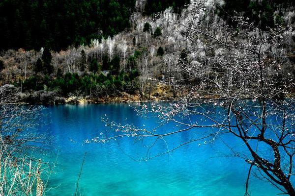 長安春by華闕闕txt