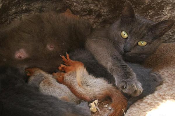 陰郁竹馬他好愛(ài)我重生筆趣閣
