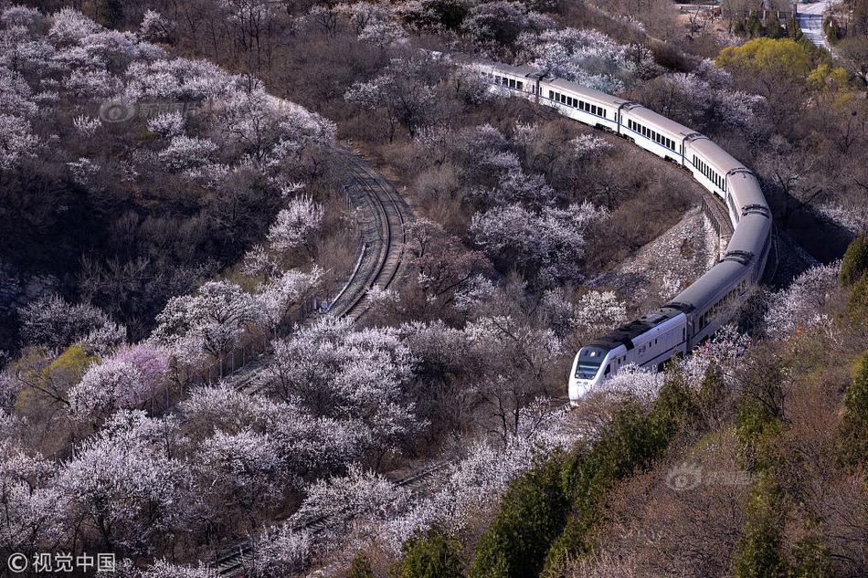 青檸影視免費高清電視劇八佰