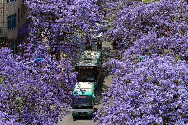 熾夏by周熾夏知全文閱讀