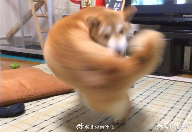 《最后一百天》by賣菜講的什么