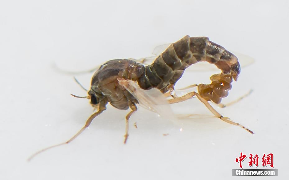 奔現后(1.v1)樞現沈