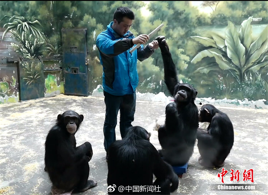 《繁星》(二十四)