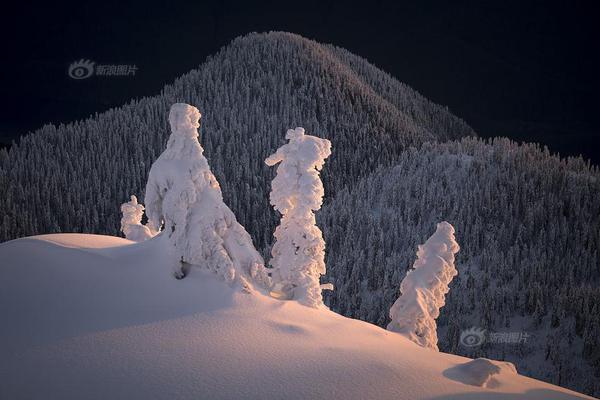 《無人知曉》 BY又藍