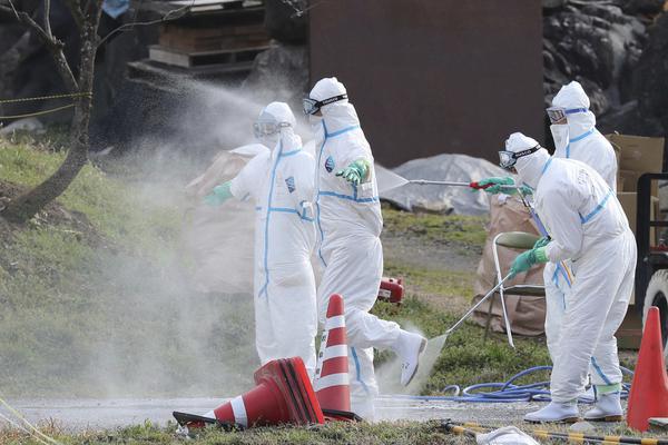 自知迷途筆趣閣無(wú)彈窗