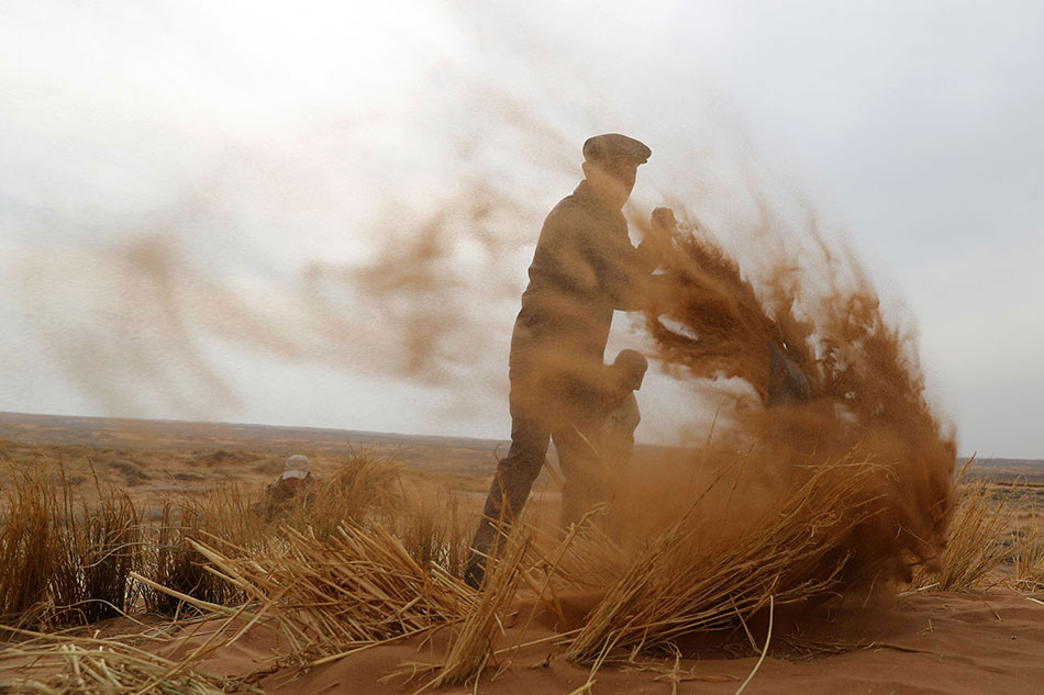 在游戲世界里為所欲為筆趣閣最新章節(jié)列表