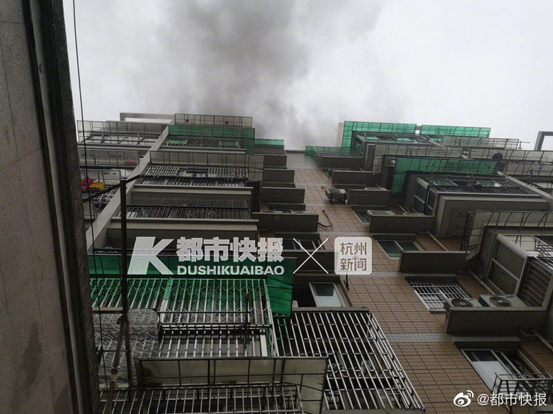 《見微知著》by亂知音txt百度網(wǎng)盤txt