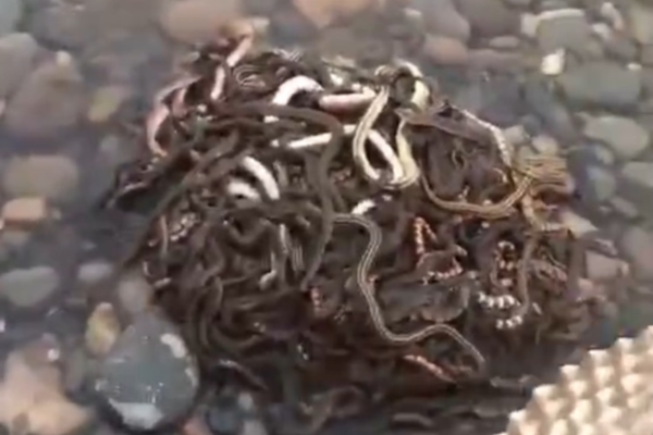 1v1無彈窗筆趣閣