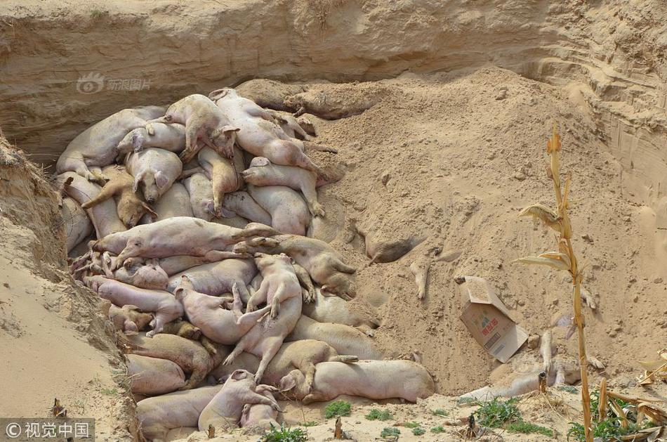 后媽母親愛上兒子第四集