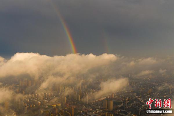 共感機器人筆趣閣