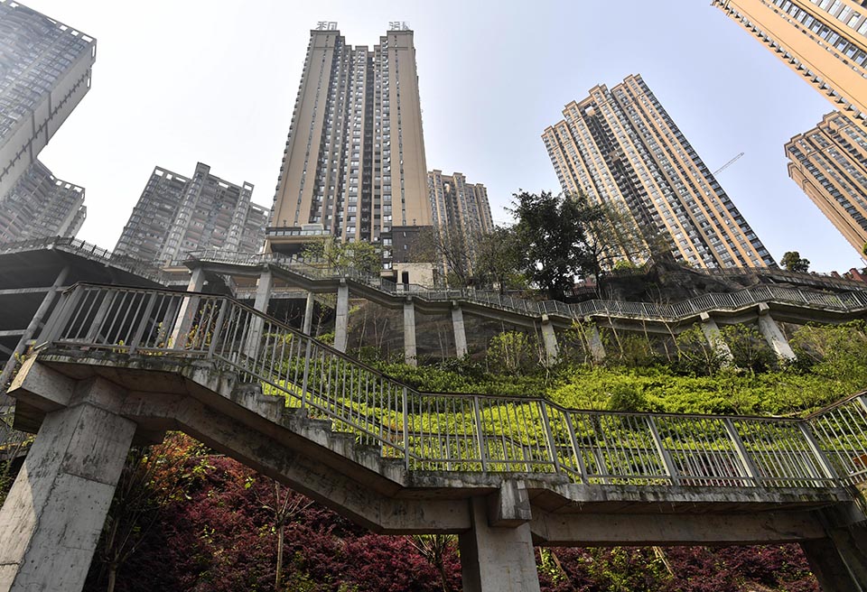 掌中寶1v2雙男主劇情介紹