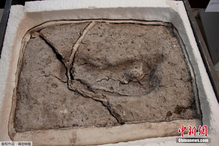 重生之寵溺by魏阿央免費(fèi)閱讀