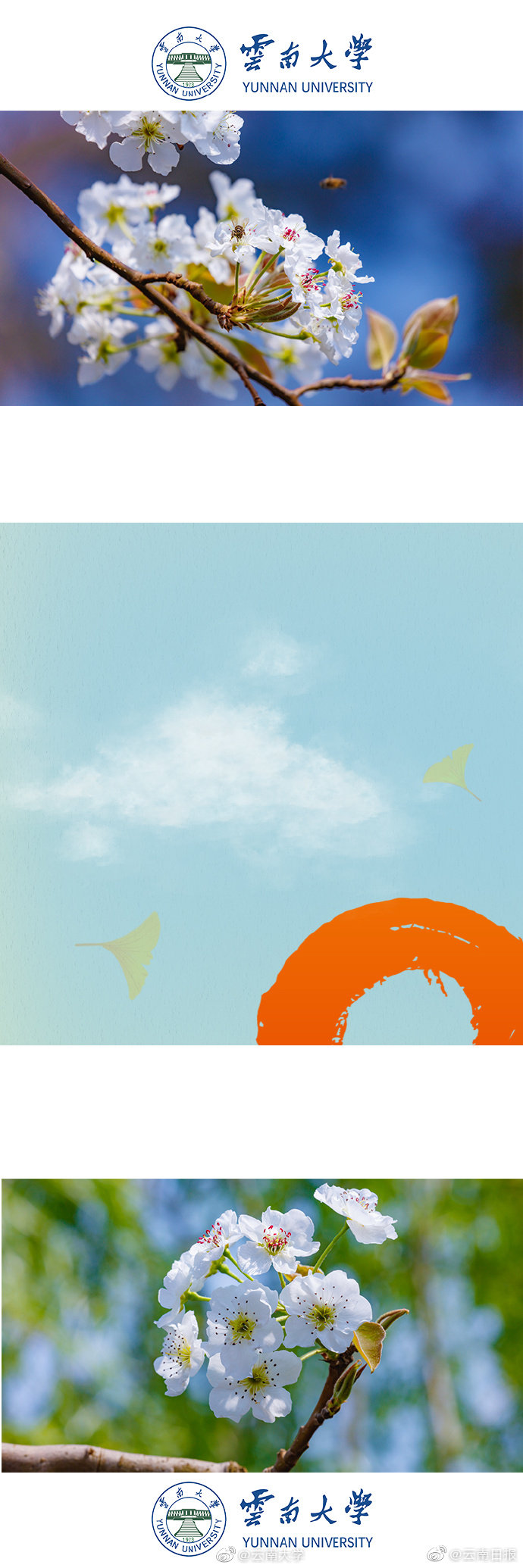 鴿子飛升txt百度云盤資源