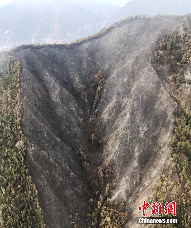 《擁擠的帳篷》動漫免費