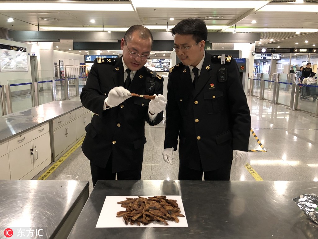 被修理工叔叔管教的小說結(jié)局是什么