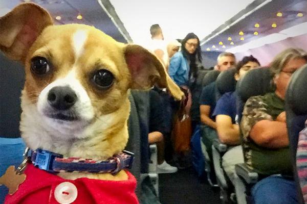 《錯了錯了》by無司