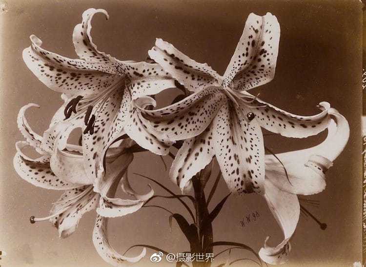 正義的使命全文免費(fèi)筆趣閣下載