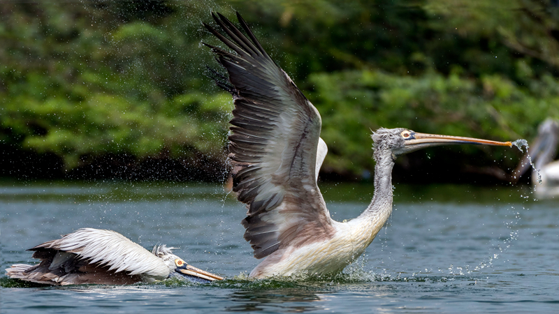 易經(jīng)白話文全文解讀txt