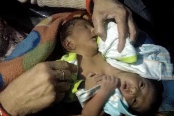 不如去野by夏漁好看嗎