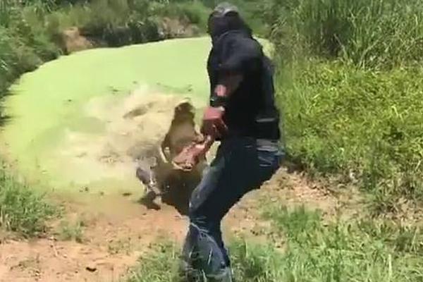 暗火by夏布多昂全文免費閱讀