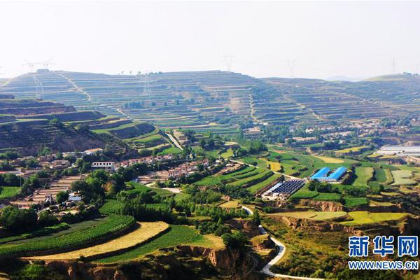 怎么下載小說(shuō)TXT格式