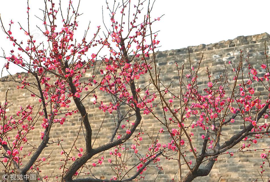 純陽女婿雙修道侶