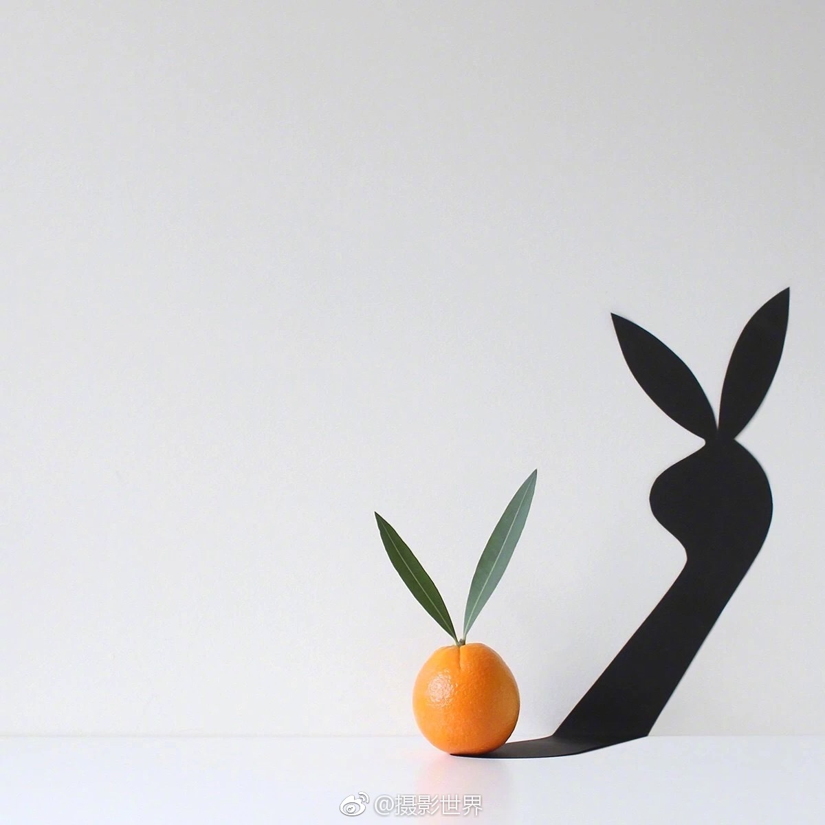 北電當教獸1900章筆趣閣更新時間