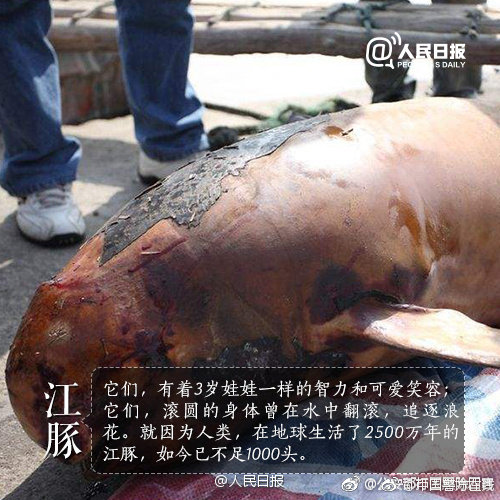 醫(yī)生我還有救嗎by洛洛全文無彈窗