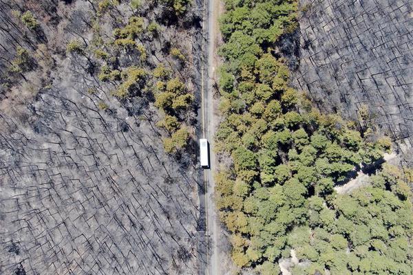 治愈那個(gè)惡毒男配(穿書(shū)女尊)筆趣閣