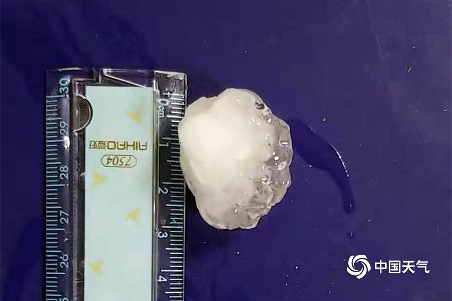 長日光陰(亂作一團)筆趣閣小說女高