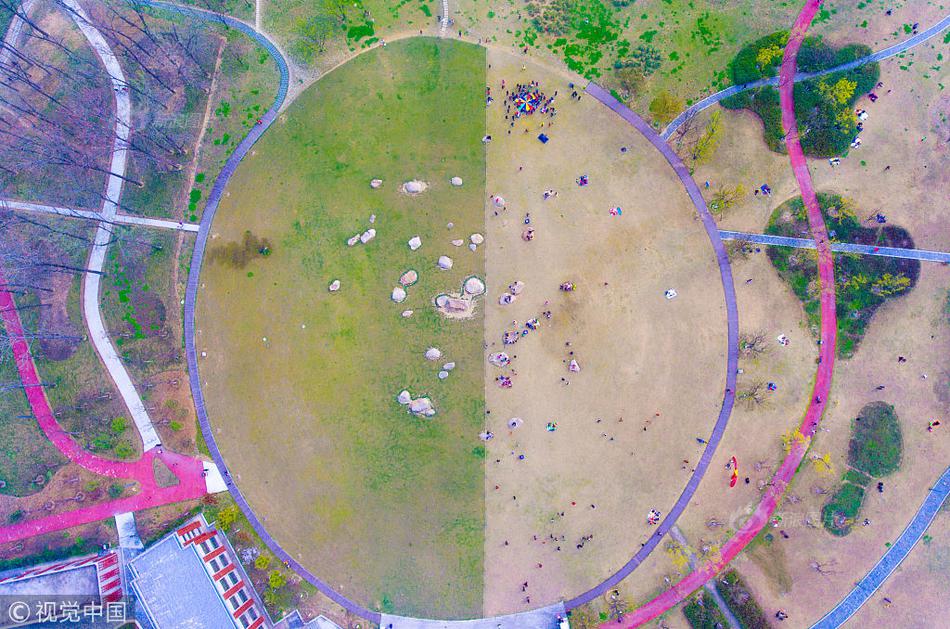 自知迷途by二飛全文閱讀小說